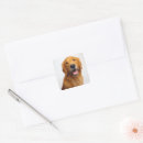 Search for smiling dog stickers Portrait