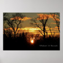 Recherche de arbre nu posters Arbres