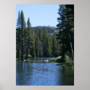 Search for pine trees mountains posters Landscape