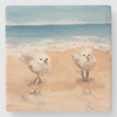 Recherche de oiseaux marins dessous de verres Plage