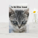 Search for fun cat birthday cards Kitten