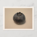 Recherche de myrtille cartes postales Fruit