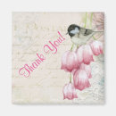 Recherche de birder Chickadee