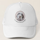 Search for pointe hats Dog