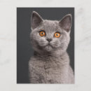 Recherche de british cartes postales Nature