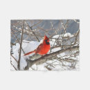 Search for red cardinal bird blankets Nature