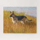 Search for german shepherd puzzles Water