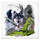 Recherche de noir loups posters Canine