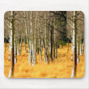 Recherche de arbre peuplier tapis souris Bois