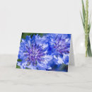 Recherche de fleurs sensibles vœux cartes Nature