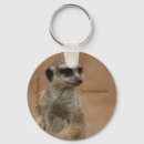 Search for meerkat keychains Zoo