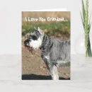 Search for dog grandma cards Mom