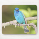 Search for birdwatcher mousepads Wildlife