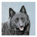 Search for schipperke posters Black
