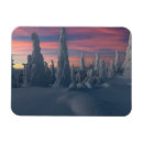 Recherche de neige couverte magnets Sapin