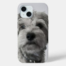 Search for schnauzers iphone cases Black and white