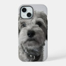 Search for cute schnauzer iphone cases Black and white