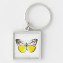 Search for cute butterfly keychains Animal
