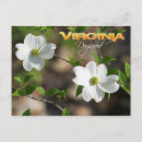 Recherche de virginia cartes postales État