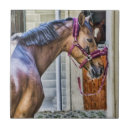 Recherche de tête animale carreaux Brun