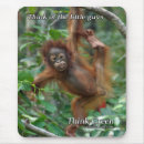 Recherche de orang outan tapis souris Conservation