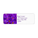 Search for crocus return address labels Nature