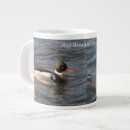 Search for merganser duck Nature