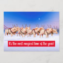 Recherche de humour noël invitations Animal