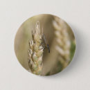 Search for flying bugs buttons Nature