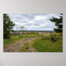 Search for overcast Scenic