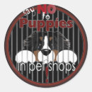Search for pet shop stickers Puppy