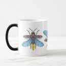 Recherche de luciole tasses Insecte