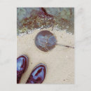 Recherche de cor cartes postales Nature