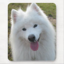 Search for samoyed mousepads dog