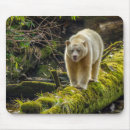 Search for bear mousepads Canada