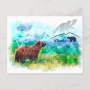 Search for watercolor bear postcards Nature