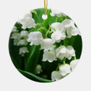 Search for lily ornaments Flowers