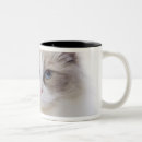 Search for cat computer mugs Cats