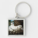 Search for bird nest keychains Wildlife