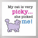 Recherche de chat fou posters Humour