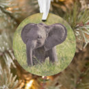 Search for kenya ornaments Elephant calf