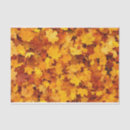 Recherche de saison cadeau emballages Orange