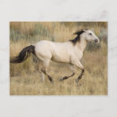 Recherche de galoper cartes postales Animal