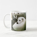 Search for not single mugs Cute