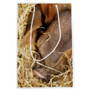 Search for pig gift bags Animals
