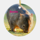 Recherche de nature photography Funny