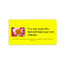 Search for multi region cards invites Orange