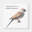 Recherche de moineau magnets Faune