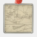 Search for hamptons ornaments Lithographed