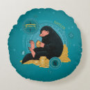 Search for coin pillows Fantastic beasts